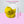 Load image into Gallery viewer, Duck / TSP0161
