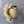 Load image into Gallery viewer, Graduation Set / TSET1049