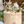Load image into Gallery viewer, Bunny Gray / TSP0168