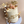 Load image into Gallery viewer, Small Bear S / TSP0153