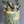 Load image into Gallery viewer, Elephant / TSP0132