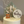 Load image into Gallery viewer, Teddy Brown / TSP0215