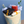 Load image into Gallery viewer, Graduation Set / TSET1049