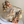 Load image into Gallery viewer, Small Bear / TSP0154