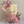 Load image into Gallery viewer, Bunny Brown / TSP0169