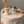 Load image into Gallery viewer, Puppy G / TSP0171