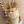 Load image into Gallery viewer, Small Bear L / TSP0152