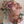 Load image into Gallery viewer, 3 Bears Set / TSET1044