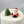 Load image into Gallery viewer, Santa / TSP0251