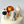 Load image into Gallery viewer, 5 Animals Set / TSET1059