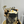 Load image into Gallery viewer, Graduation Set / TSET1049