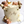 Load image into Gallery viewer, Small Bear / TSP0154