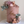 Load image into Gallery viewer, Small Bear / TSP0154