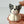Load image into Gallery viewer, Puppy G / TSP0171