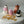 Load image into Gallery viewer, 4 Farm Set / SET1057
