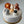 Load image into Gallery viewer, 5 Animals Set / SET1059
