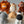 Load image into Gallery viewer, 5 Animals Set / SET1059
