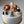 Load image into Gallery viewer, 6 Animals Set / SET1060
