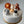 Load image into Gallery viewer, 5 Animals Set / SET1059
