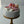 Load image into Gallery viewer, Makeup Set / SET1071
