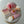 Load image into Gallery viewer, Makeup Set / SET1071
