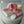 Load image into Gallery viewer, Makeup Set / SET1071
