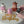 Load and play video in Gallery viewer, 4 Farm Set / SET1057

